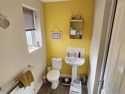 Picture 31